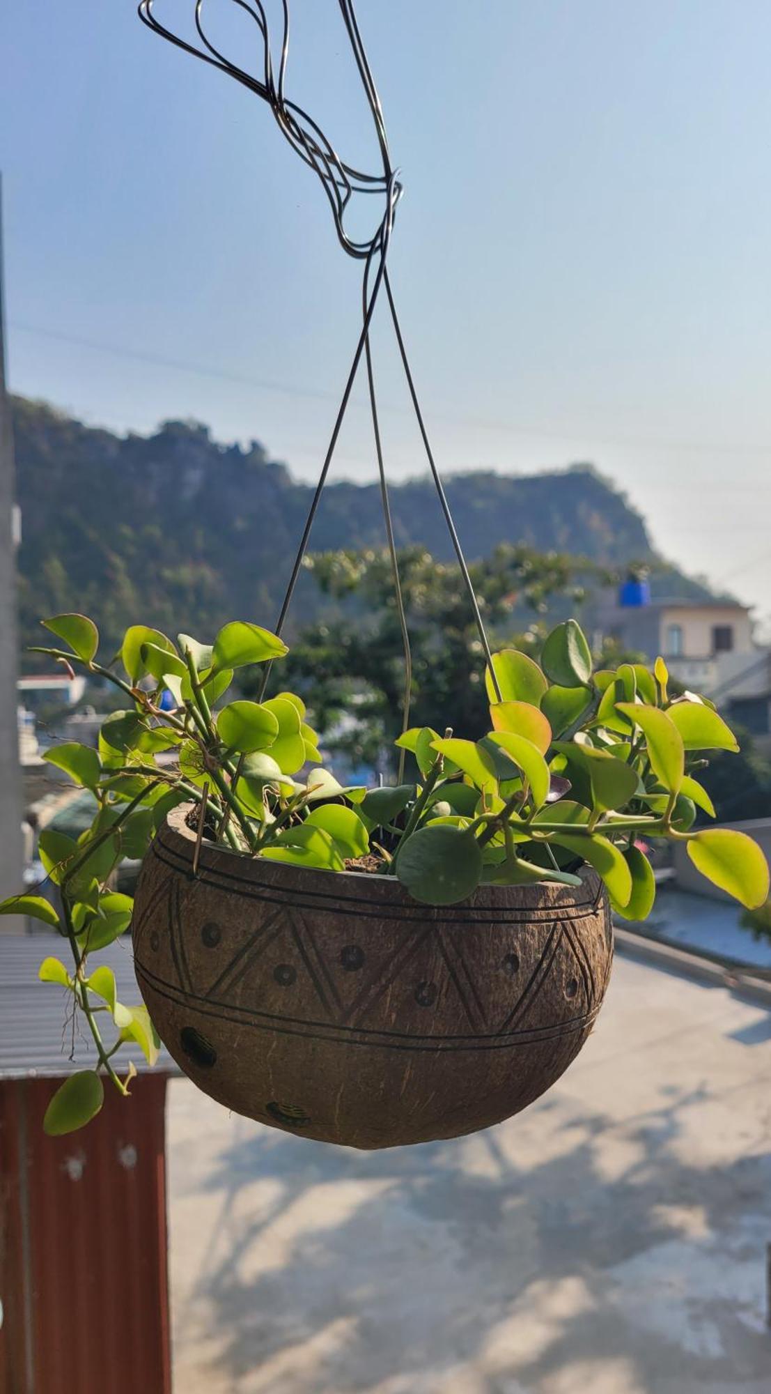 Tiny Garden House Cat Ba Ξενοδοχείο Chan Chau Εξωτερικό φωτογραφία