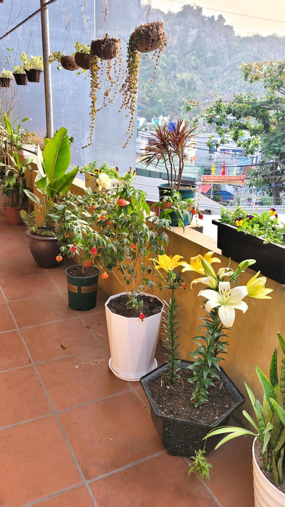 Tiny Garden House Cat Ba Ξενοδοχείο Chan Chau Εξωτερικό φωτογραφία