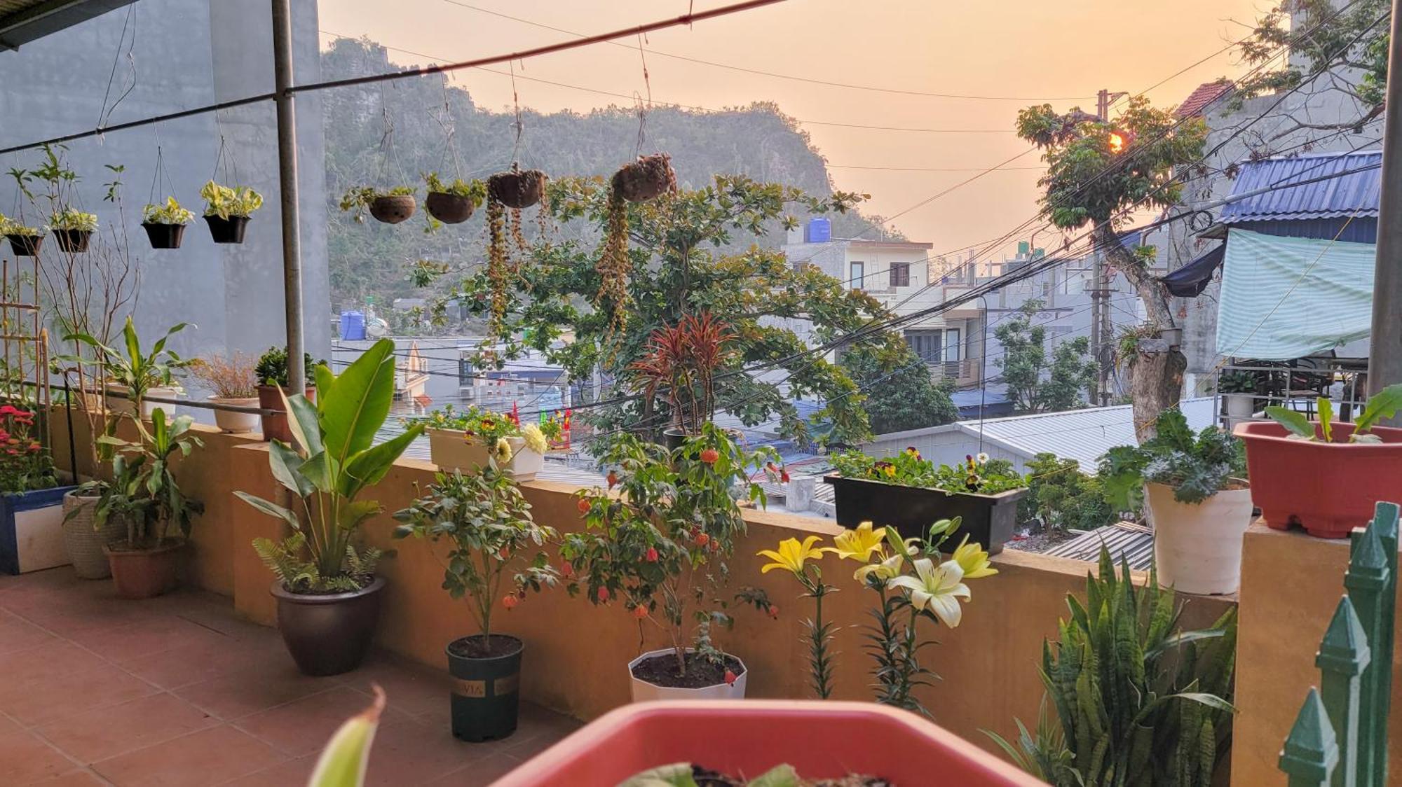 Tiny Garden House Cat Ba Ξενοδοχείο Chan Chau Εξωτερικό φωτογραφία